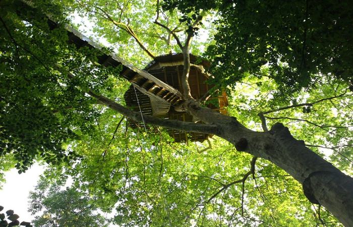 No apto para personas con vértigo, la casa está ubicada a 22 metros del suelo dormir entre los arboles francia normandia