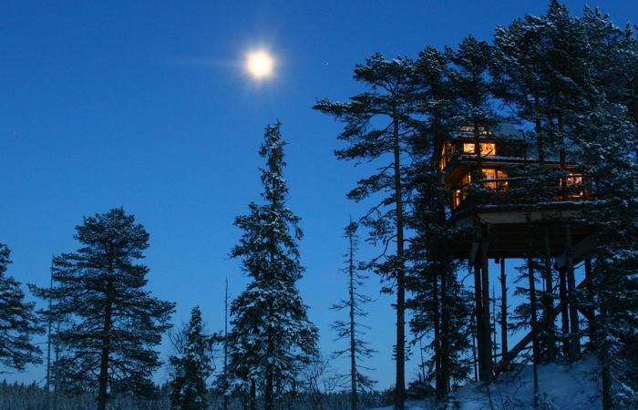 Las casas están acondicionadas para el frío y tienen todo lo necesario dormir entre los arboles noruega europa