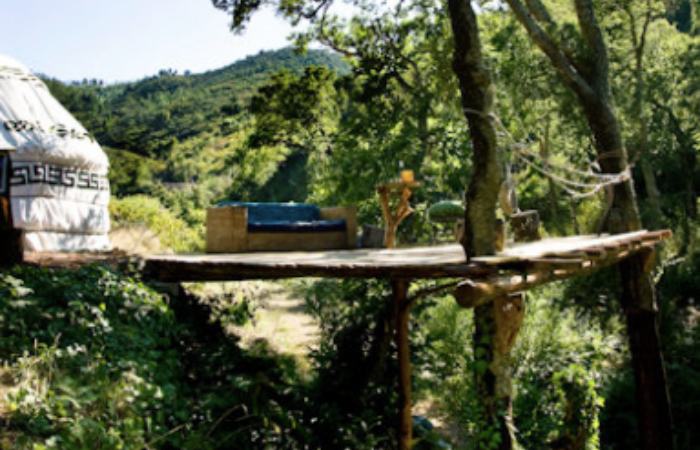 Walnut Treehouse, con un porche al bosque walnut treehouse portugal dormir entre los arboles