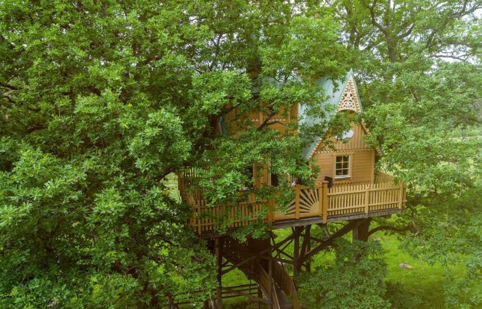 Sjunde Himlen, Andrum y Himlajord son las casas en las copas de los árboles Islanna Trädhushotell suecia dormir entre los arboles