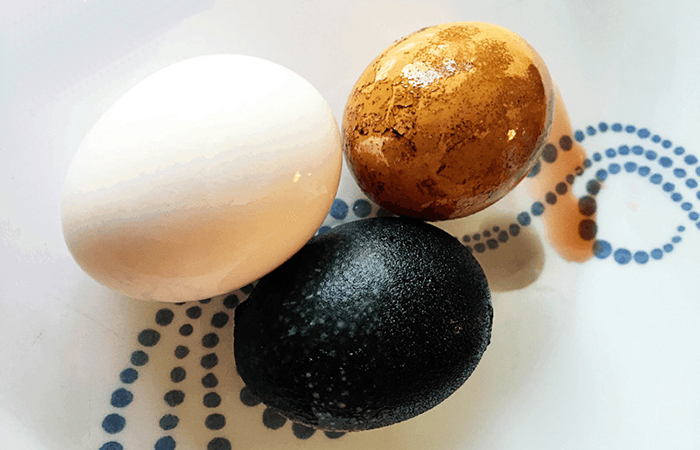 experimento de salud bucal con huevos de gallina