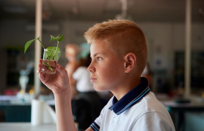 Niño observando esqueje de planta en agua ISP Schools