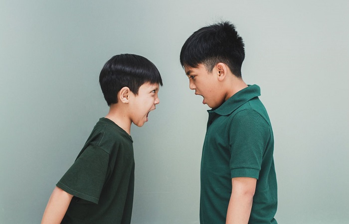 Cómo gestionar las peleas entre hermanos con éxito