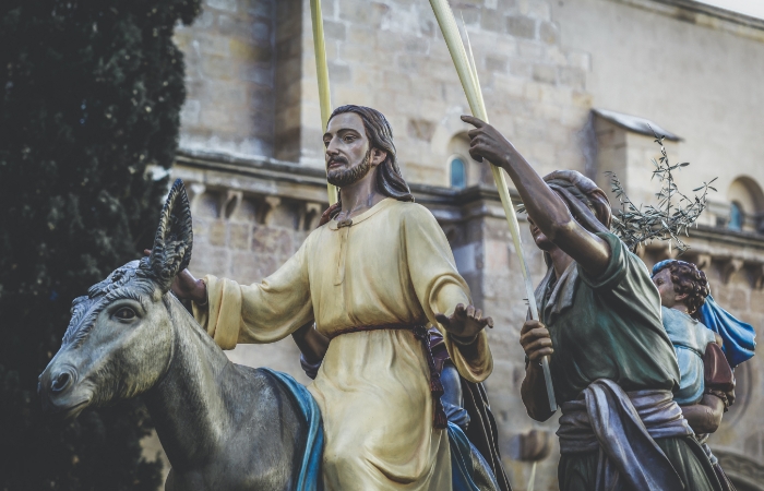 Real Cofradía de Jesús en su Entrada Triunfal en Jerusalén (Zamora) La Borriquita