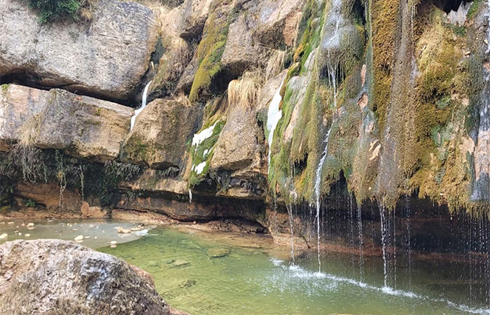 Torrent de la Cabana en Campdevànol, Girona