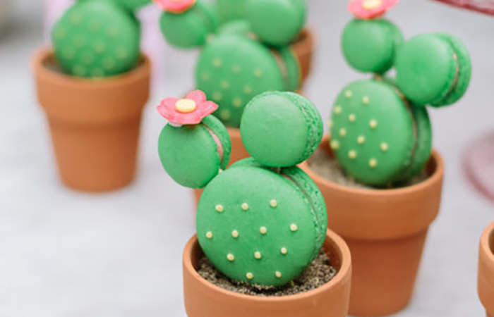 Cómo hacer un trampantojo en la cocina con forma de cactus trampantojo en la cocina con forma de cactus
