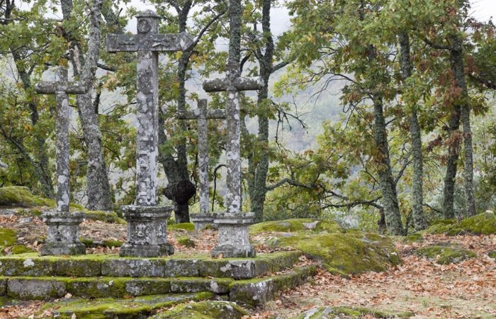 Bosque de los Espejos en Salamanca