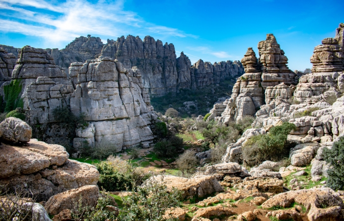 Tornillo del Torcal de Antequera en Málaga