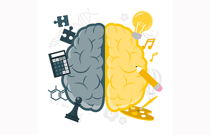 Experimento sobre el cerebro