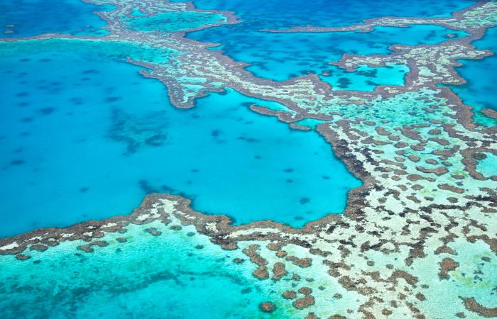 El único ser vivo capaz de ser visto desde el espacio, la Gran Barrera arrecifes de coral del mundo Gran Barrera de Coral