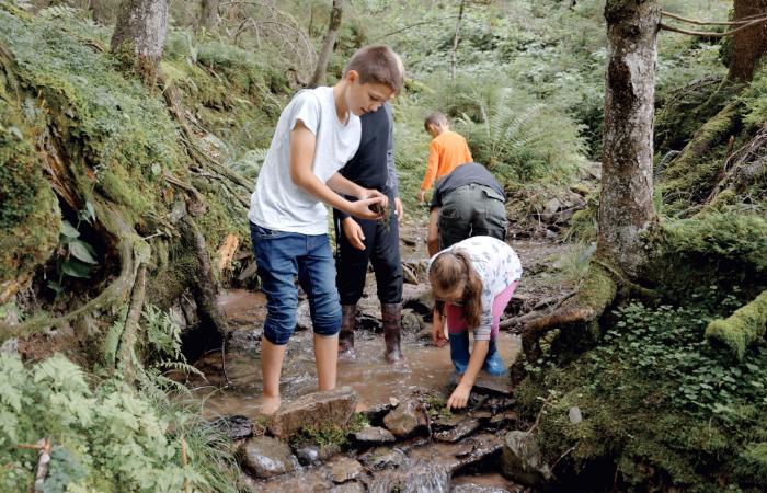 Arroyos y bosques serán el patio de la cabaña de tus hijos niños granjas tirol austria