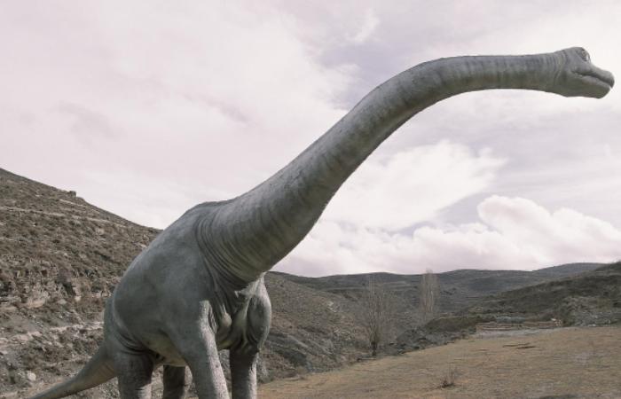 Los dinosaurios te esperan en La Rioja La rioja enciso dinosaurio