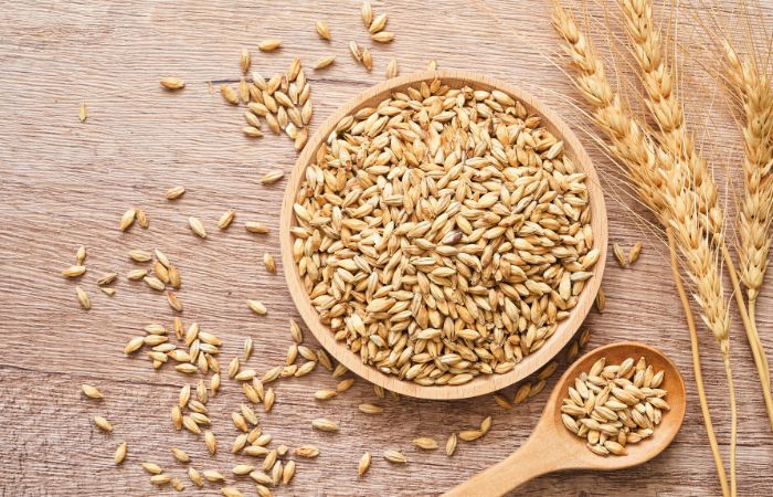 Granos de cebada que en el paleolítico molían Dieta Paleo: cereales como la cebada