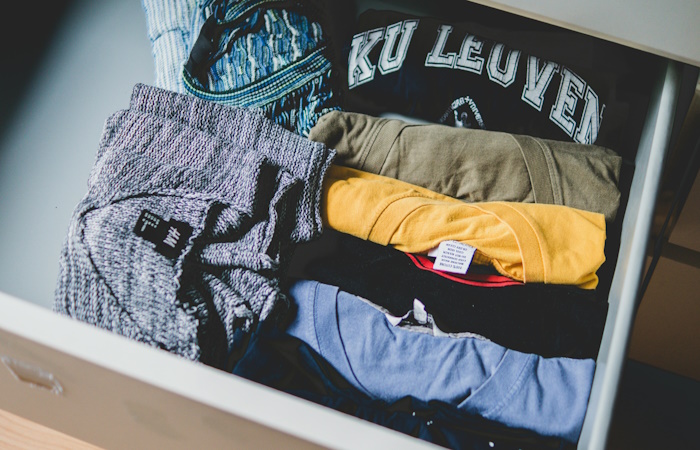 las polillas de la ropa se cuelan en los armarios polillas de la ropa