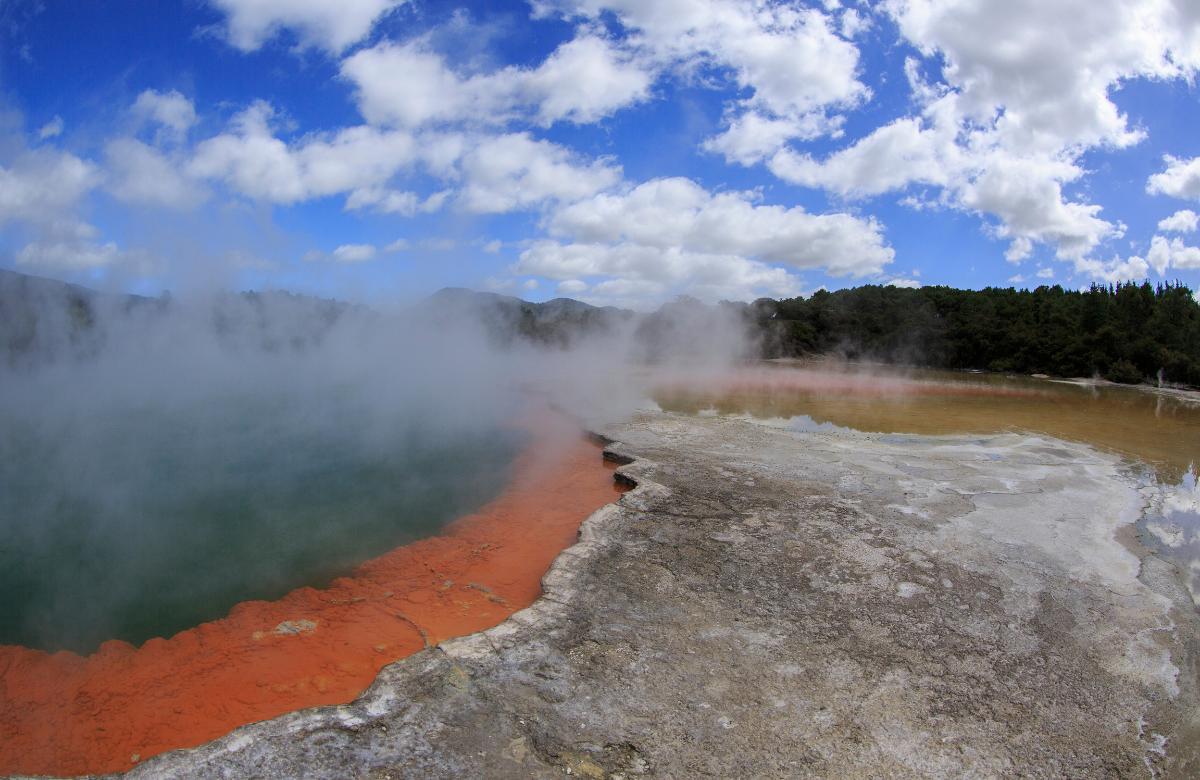 Visita piscinas de lodo y aguas termales en Rotorua rotorua nueva zelanda aguas termales