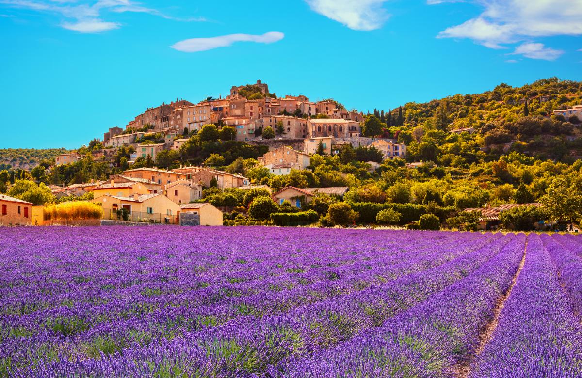Deja que el aroma a lavanda te inunde en La Provenza slow travel la provenza francia