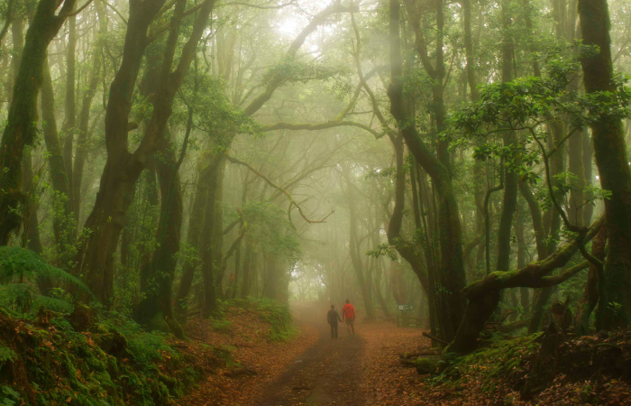 No salirse del sendero para evitar perjudicar el entorno Sigue el sendero marcado y no lo abandones