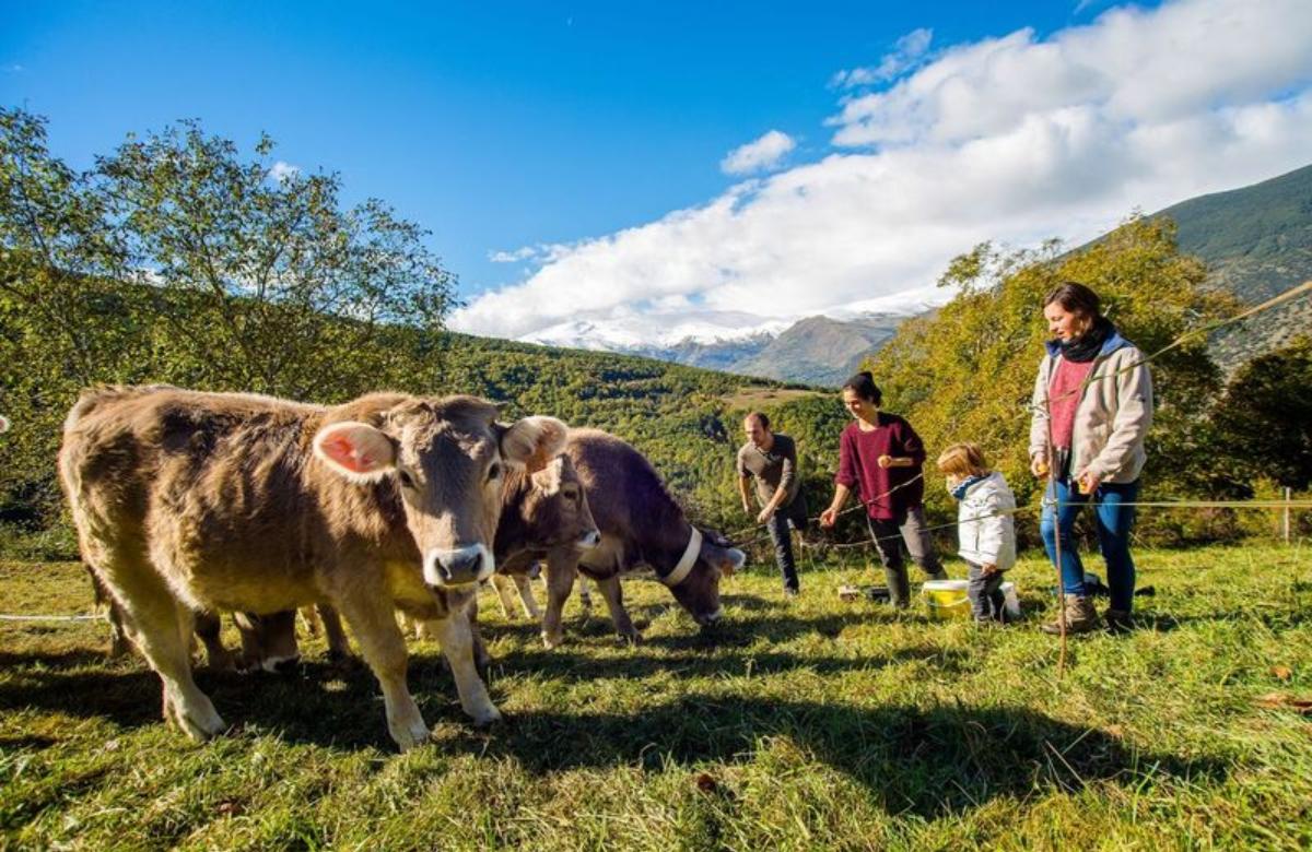 Casa Macià es un alojamiento de familia ganadera, con diferentes animales de granja agroturismo en cataluña
