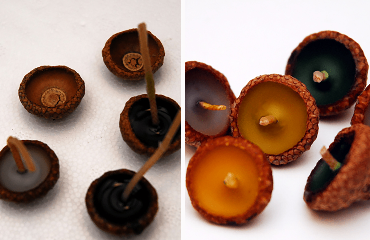 Cómo hacer velas flotantes con bellotas velas flotantes