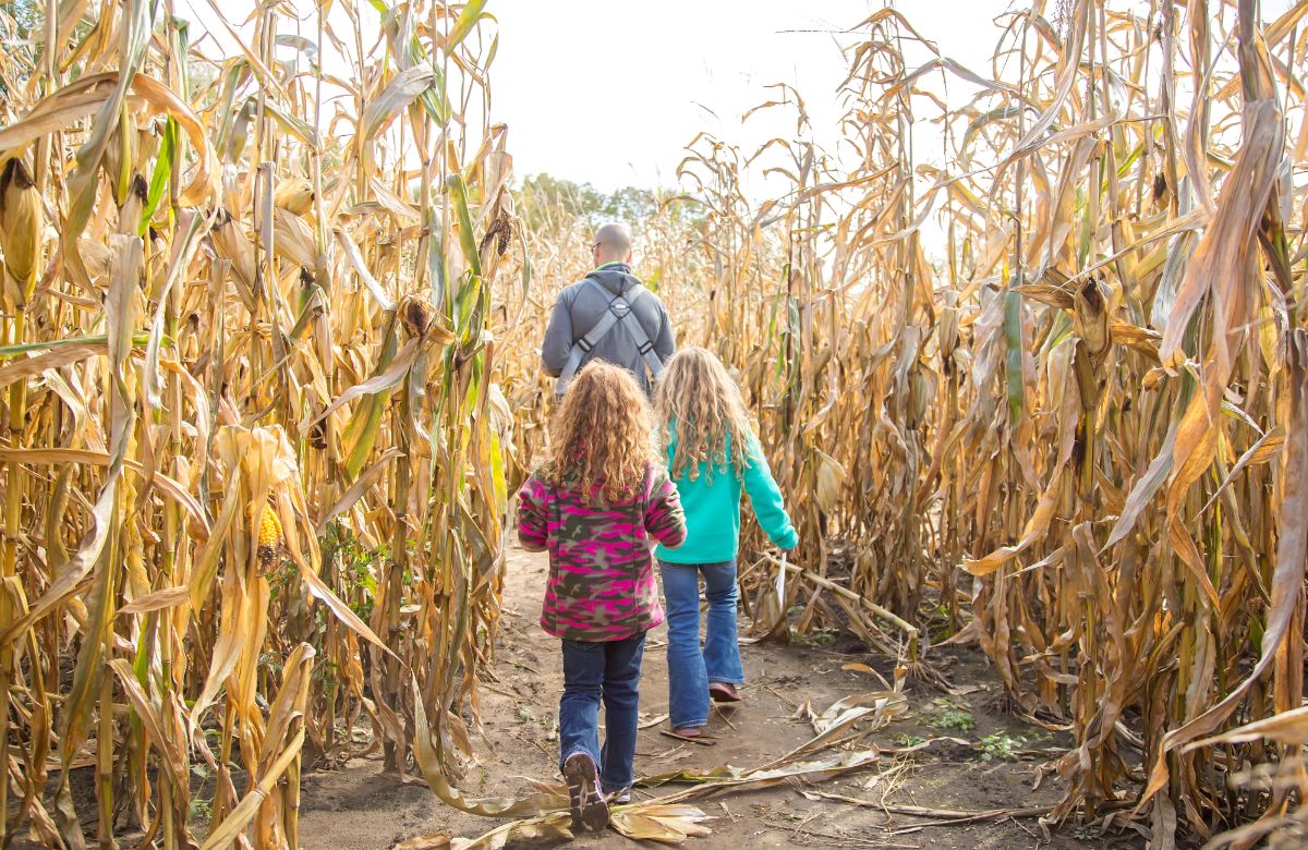 Visitar entornos naturales con niños Experiencias imprescindibles en familia en entornos naturales