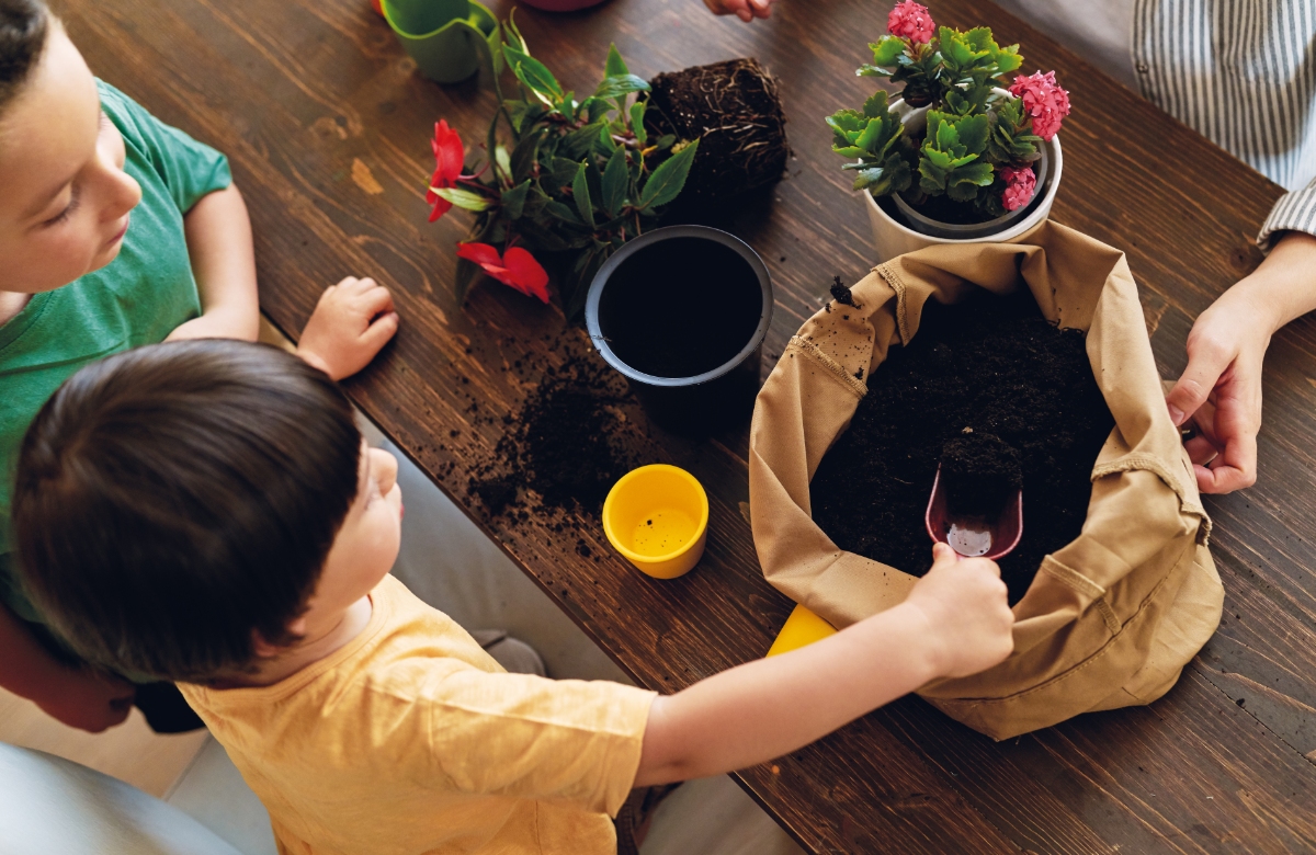 Transplantar, regar, cuidar las plantas desde pequeños jardinería para niños