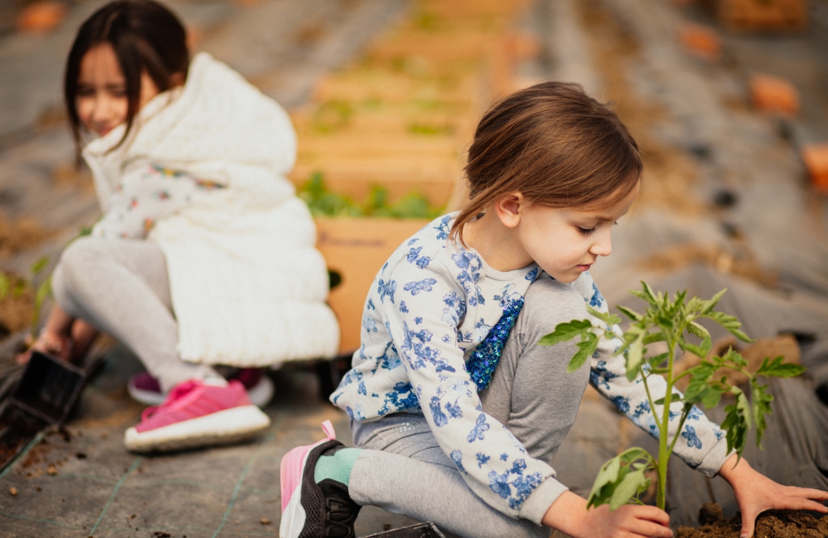 En contacto con las plantas, fundamental para los niños Jardinería para niños